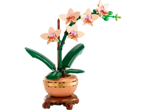 Mini Orchid (Christmas Catalogue Line - All Versions) - image 3