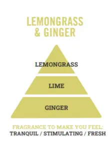 Mini Wax Melt Bar Lemongrass & Ginger 35g - image 3