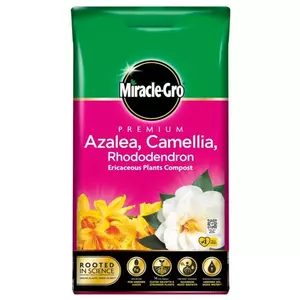 Miracle-Gro Azalea Camellia Rhododendron Compost 20L