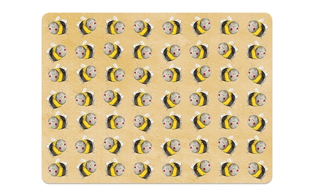 Mt28 Bees Placemat