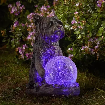 Mystic Dog - image 1