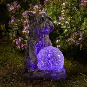 Mystic Dog - image 1