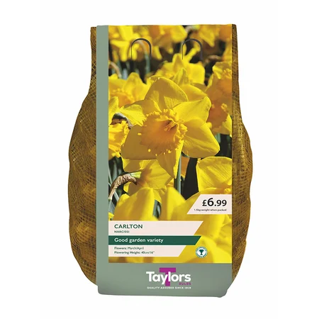 NARCISSUS CARLTON 12-14 CARRI-PACK 1.5KG
