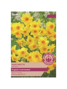 NARCISSUS MARTINETTE 10-12 LP