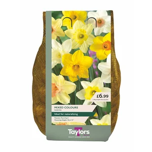 NARCISSUS MIXED 12-14 CARRI-PACK 1.5KG