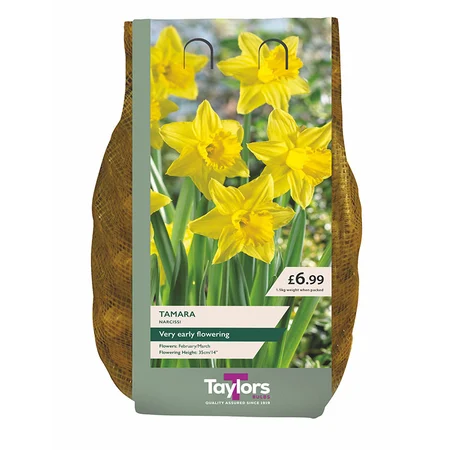 NARCISSUS TAMARA 12-14 CARRI-PACK 1.5KG