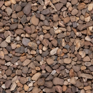 Natural Pea (Promo) 20Mm - image 3