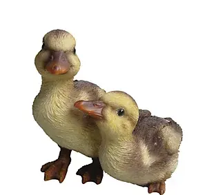 NF Duckling Group D