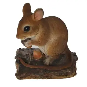 NF Dormouse F 2
