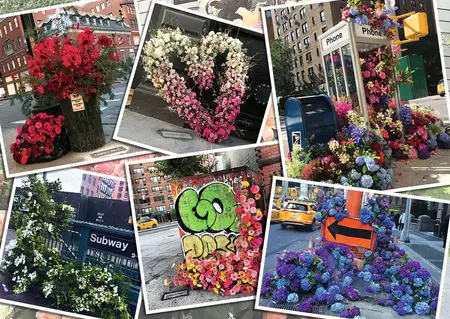 NYC Flower Flash  1000p - image 2
