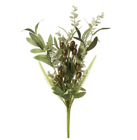 Olive Leaves Branch