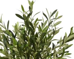 Olive tree in pot polyester - image 2