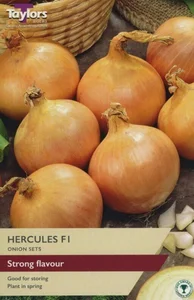 Onion Hercules F1 14-21 P/P