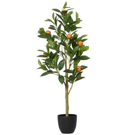 Orange tree in pot pe
