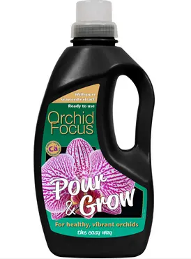 Orchid Focus Pour & Grow - image 1