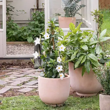 Outdoor Cartmel Terracotta Planter H27cm D28cm - image 3