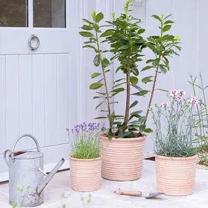 Outdoor Hillcrest Ripple Terracotta Planter H24cm D24cm - image 2