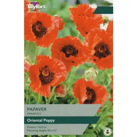 Papaver Orientale I P/P