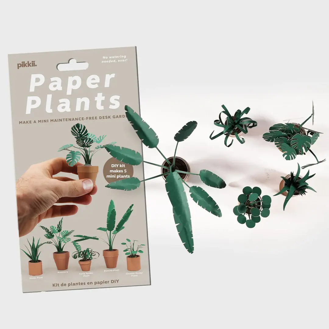 Src Paper Paper Plants - Pennells Garden Centres