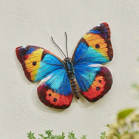 Papillon - Large, Mixed Case - image 2