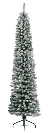 Pencil pine snowy