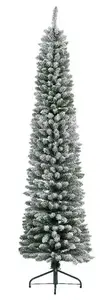 Pencil pine snowy