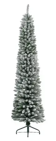Pencil pine snowy