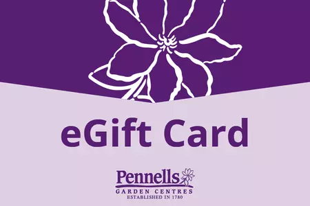 Pennells eGift Card
