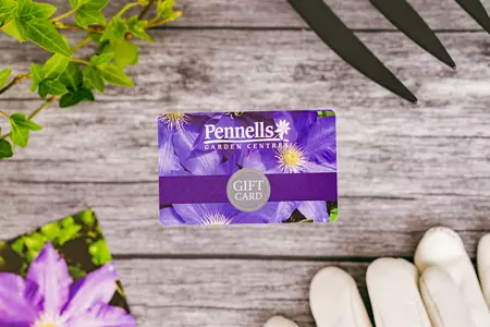 Pennells Gift Card £25