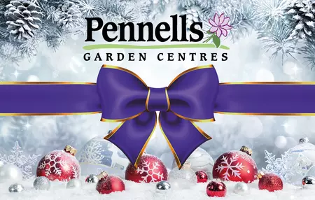 Pennells Gift Card £25 Xmas - image 2