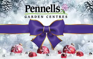 Pennells Gift Card £25 Xmas - image 2
