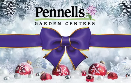 Pennells Gift Card £50 Xmas