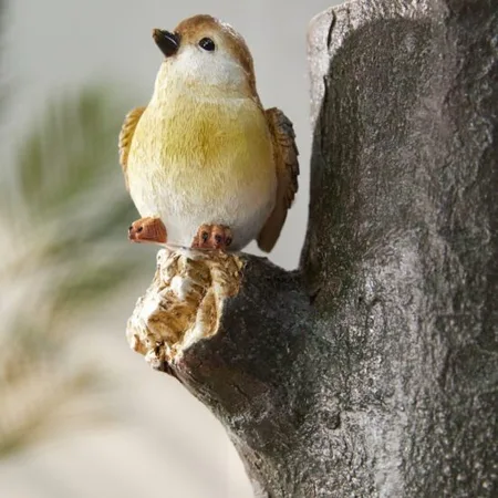 Perch - image 5