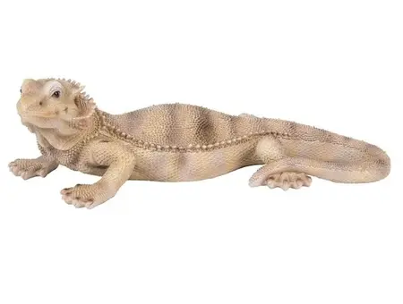 Vivid Arts Bearded Dragon Lizard