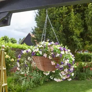 Petunias 30 cm