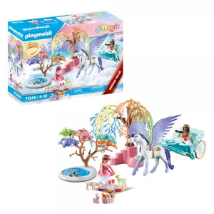 Picnic With Pegasus Carriage