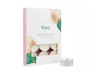 PK/12 TEALIGHT HYDRANGEA