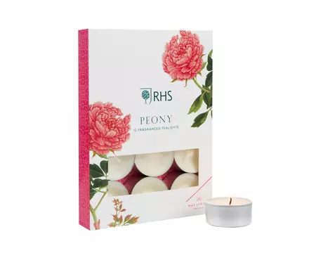 PK/12 TEALIGHT PEONY