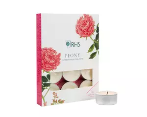 PK/12 TEALIGHT PEONY