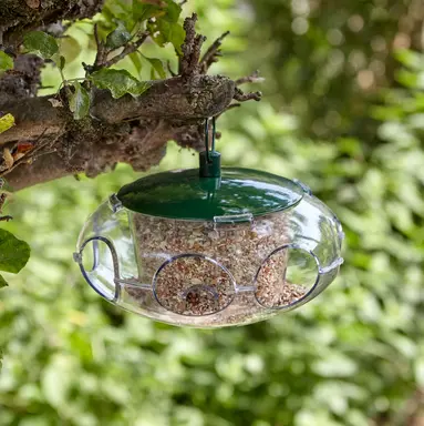 PK Small Bird Seed Feeder - image 3