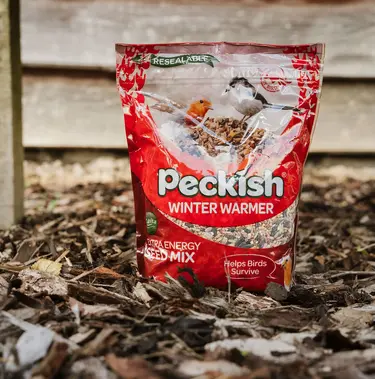 PK Winter Warmer Seed Mix 1.7kg - image 3