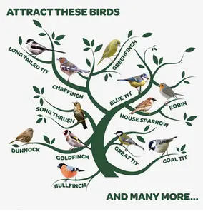 PK Winter Warmer Seed Mix 1.7kg - image 4