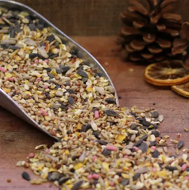 PK Winter Warmer Seed Mix 1.7kg - image 2