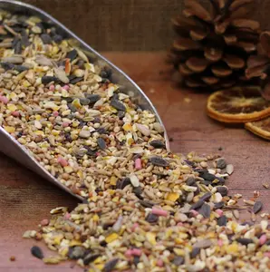 PK Winter Warmer Seed Mix 1.7kg - image 2