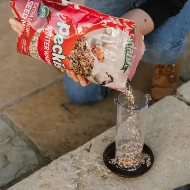 PK Winter Warmer Seed Mix 1.7kg - image 5