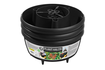 Plant Halos Black (Set of 3) - image 1