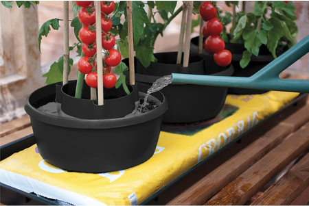 Plant Halos Black (Set of 3) - image 2