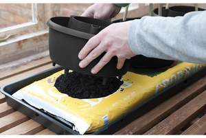 Plant Halos Black (Set of 3) - image 3