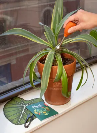Plant Health Handbook - image 4
