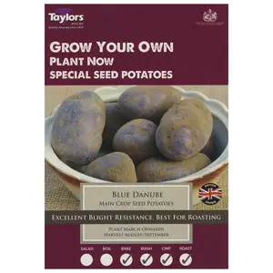 Potato Blue Danube 35-55 P/P
